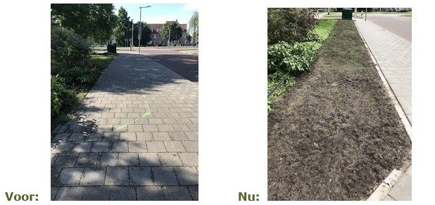 Groen van Prinstererstraat