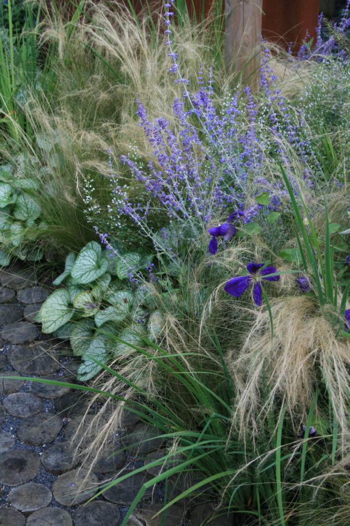 Variatie in beplanting zorgt voor veel wateropname en verkoeling