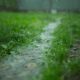 Door meer groen loopt het regenwater beter de grond in